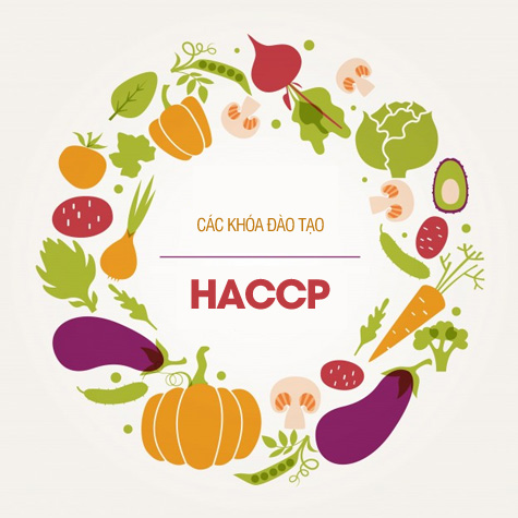 	Các khóa đào tạo HACCP - Phân tích mối nguy và điểm kiểm soát tới hạn