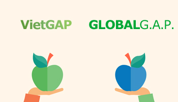 So sánh VietGAP và GlobalGAP