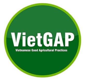 Tư vấn VietGAP 